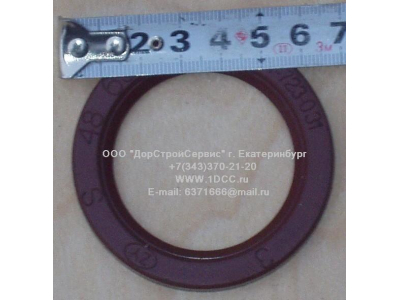 Сальник 48х65х6,2 H HOWO (ХОВО)  фото 1 Владикавказ