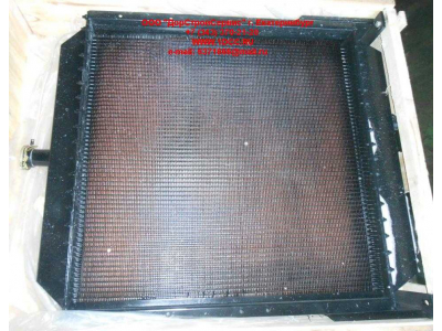 Радиатор охлаждения двигателя CDM 855EK Lonking CDM (СДМ) CDM855EK.01I.04 фото 1 Владикавказ