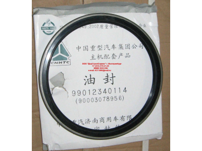 Сальник 190х220х15 задней ступицы наружный H/SH HOWO (ХОВО) WG9112340114 фото 1 Владикавказ