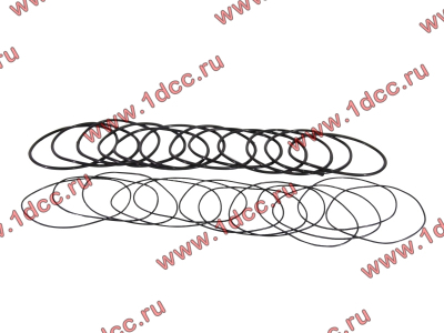Кольцо уплотнительное гильзы цилиндра (комплект 12 тонких и 12 толстых) двигатель TD226B6G Lonking CDM (СДМ) 01153804/01153805 фото 1 Владикавказ